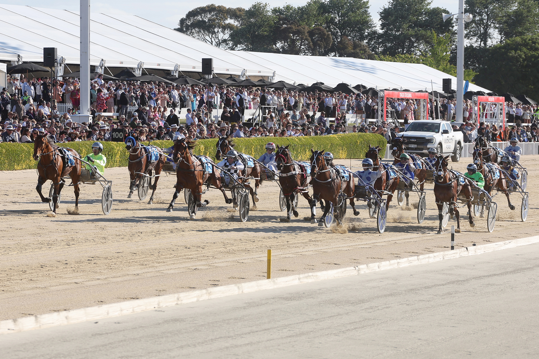 Leap To Fame likely to back up in Free-For-All