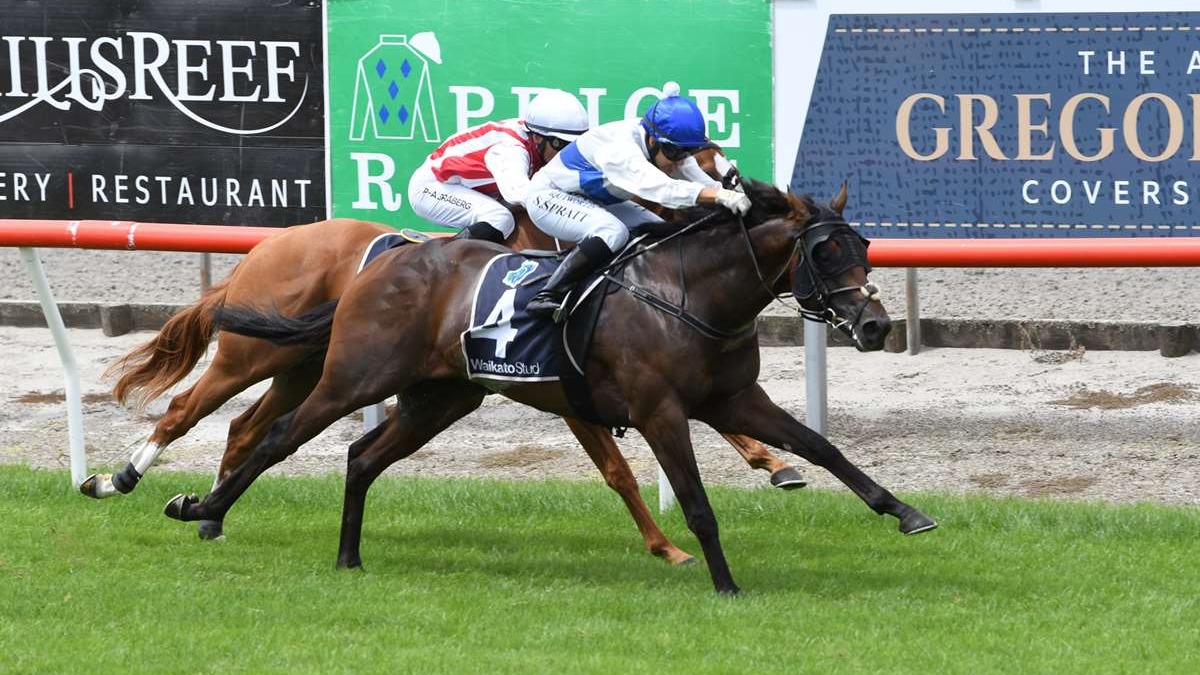 Savaglee’s return delayed as Te Rapa favoured over Ellerslie super sprint