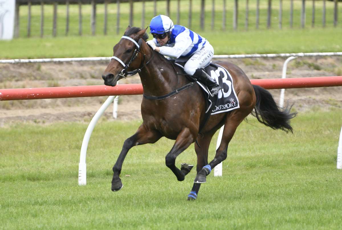 Oh too good at Otaki this Thursday: Justin Evans' picks