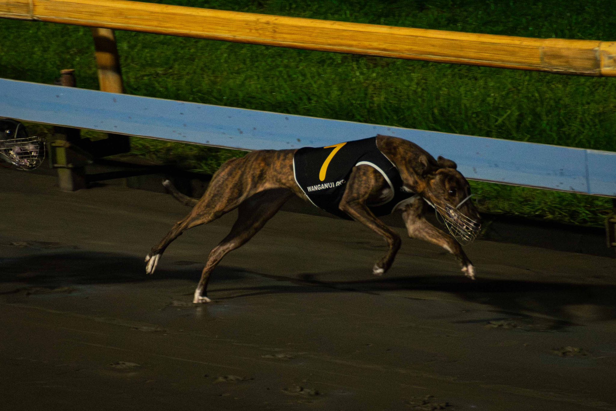 Friday Night Fliers at Whanganui: Roso picks them