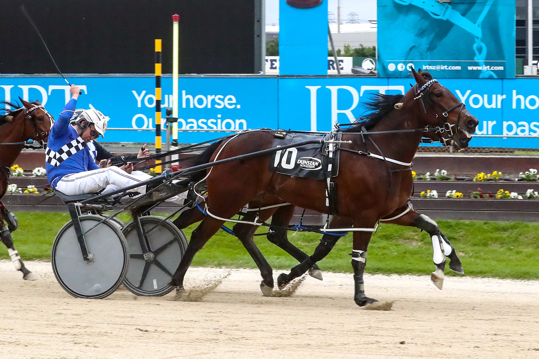 The Captains Mistress has plans for the months ahead