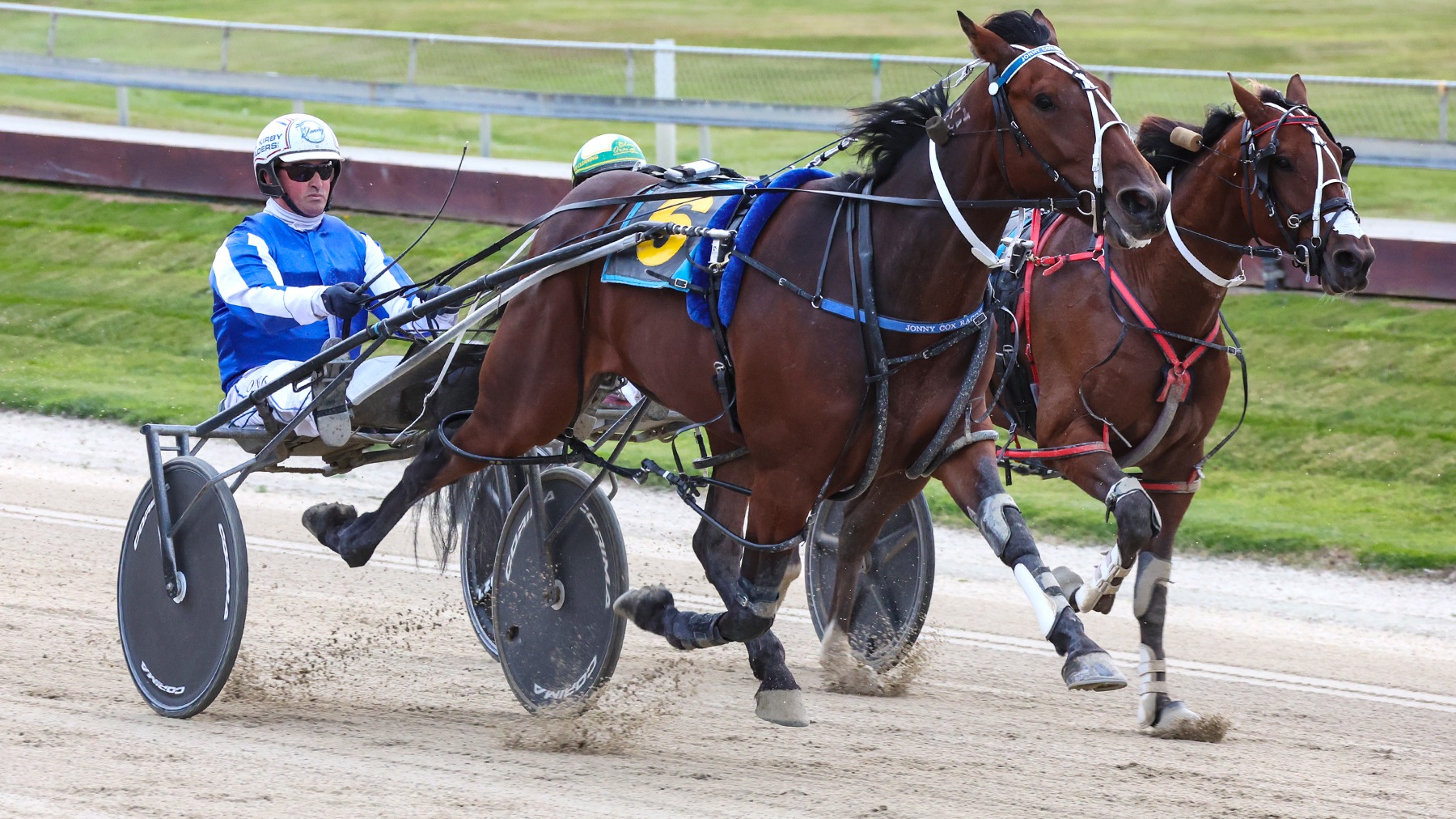 Patience to pay off with Pinseeker