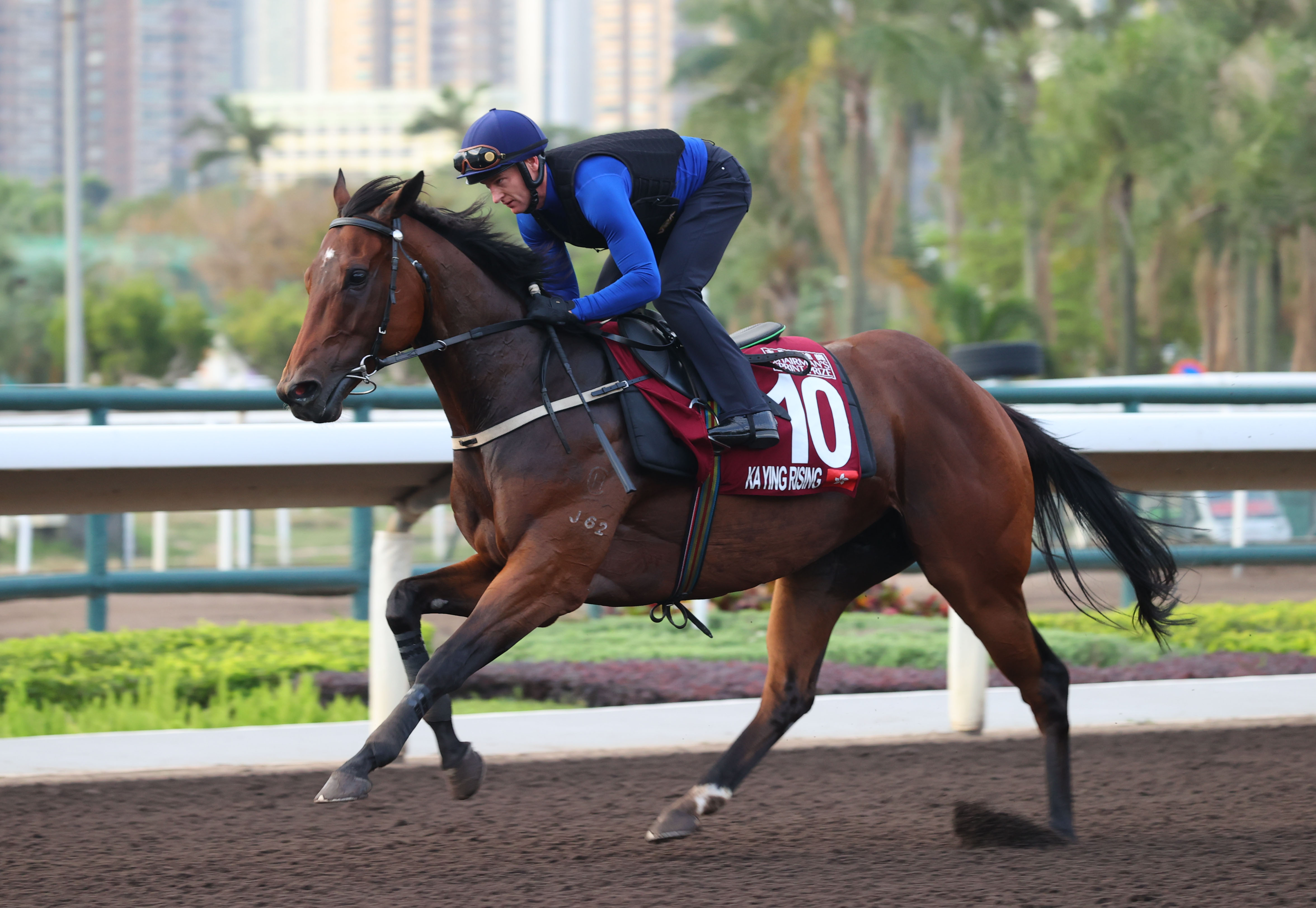 Hayes Family Chases Historic Double with Ka Ying Rising and Mr Brightside