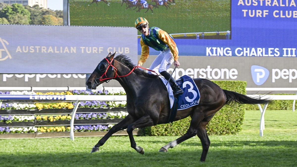 RTR Sale reputation exceeding predictions