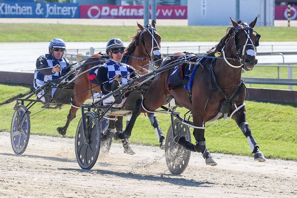 Can Stonewall break the record today at Gore in the Cup?