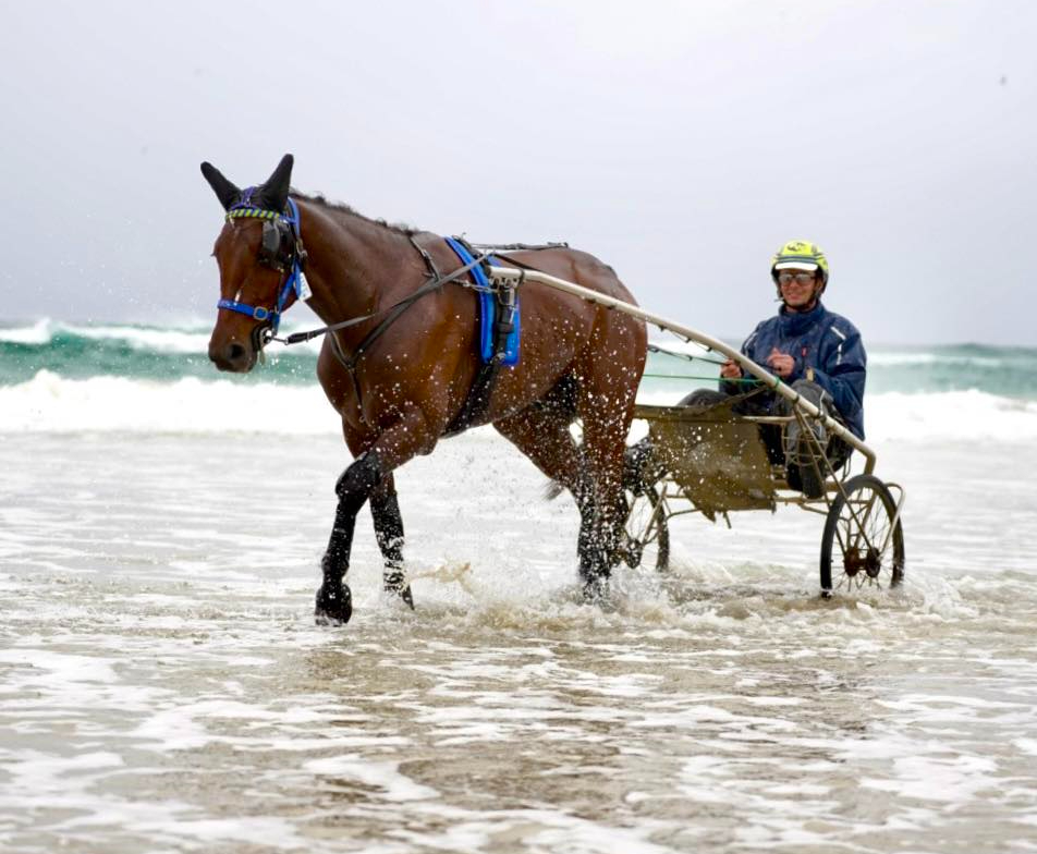 Kiwis fare well in Inter Dominion first night draws