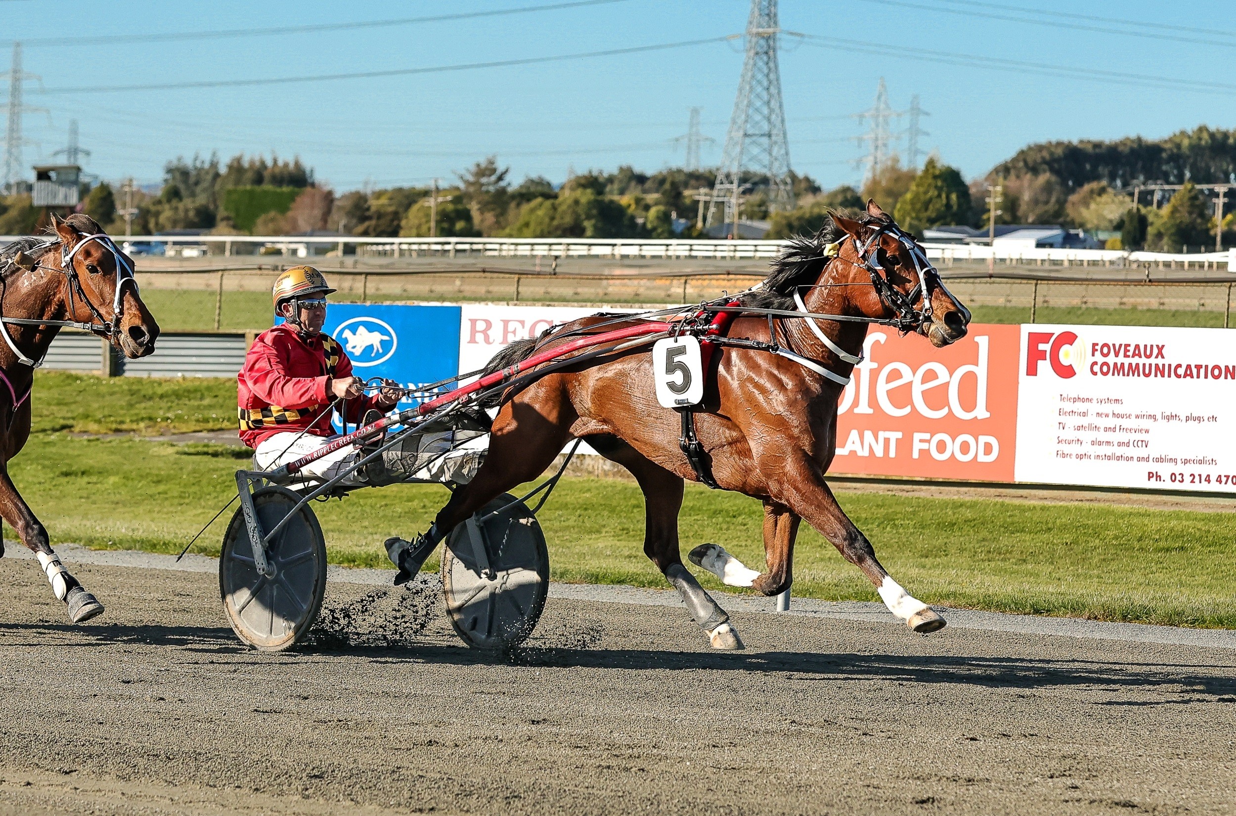 Will Princess Sadie reign supreme today at Invercargill?