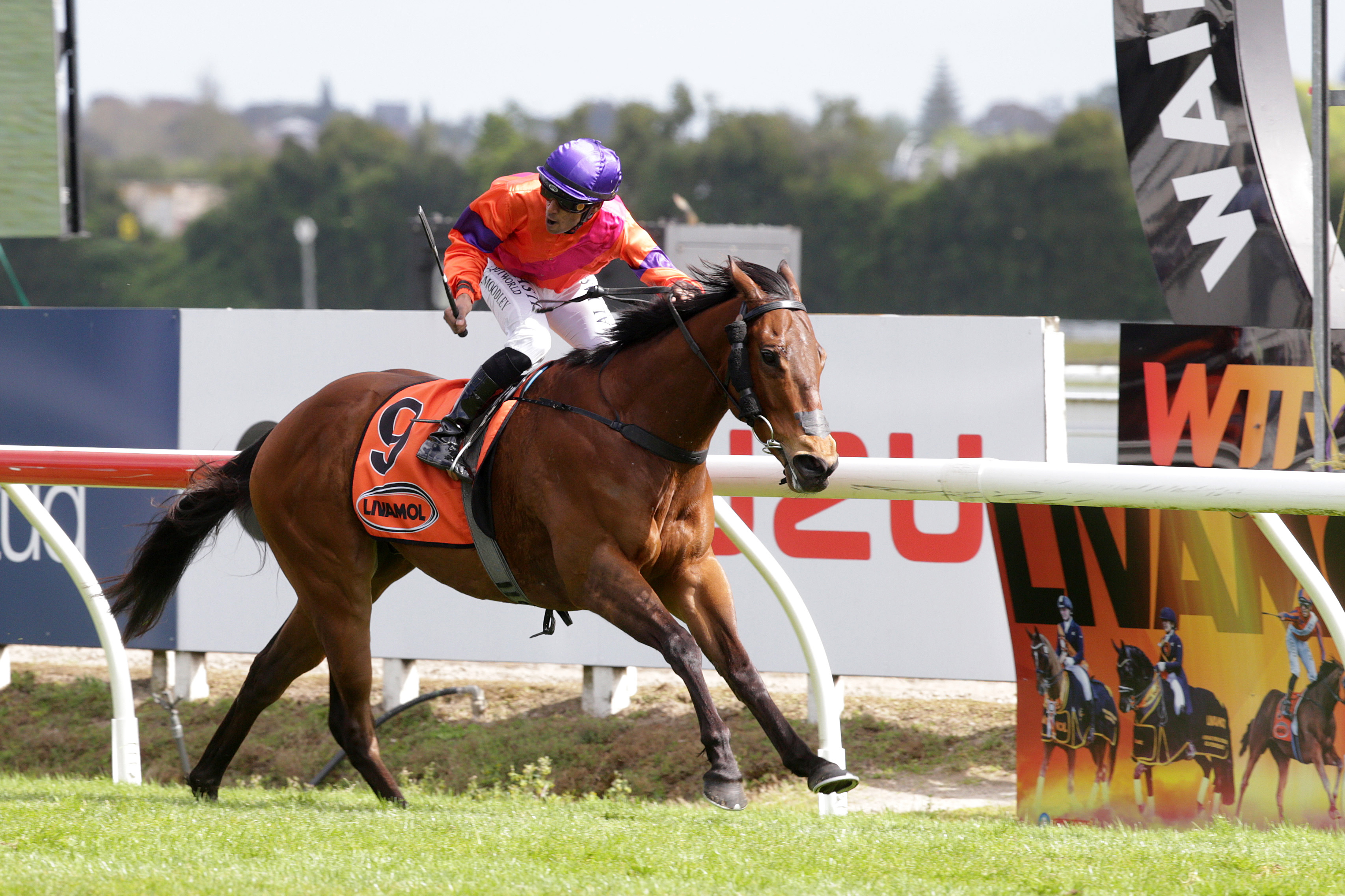 Spencer back to defend Spring Sprint title