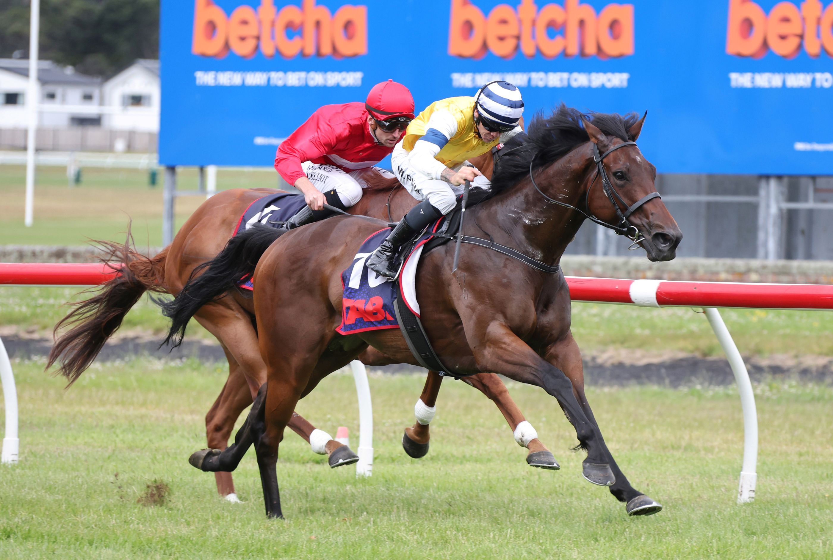 Cambridge Stud sires firing ahead of Karaka 