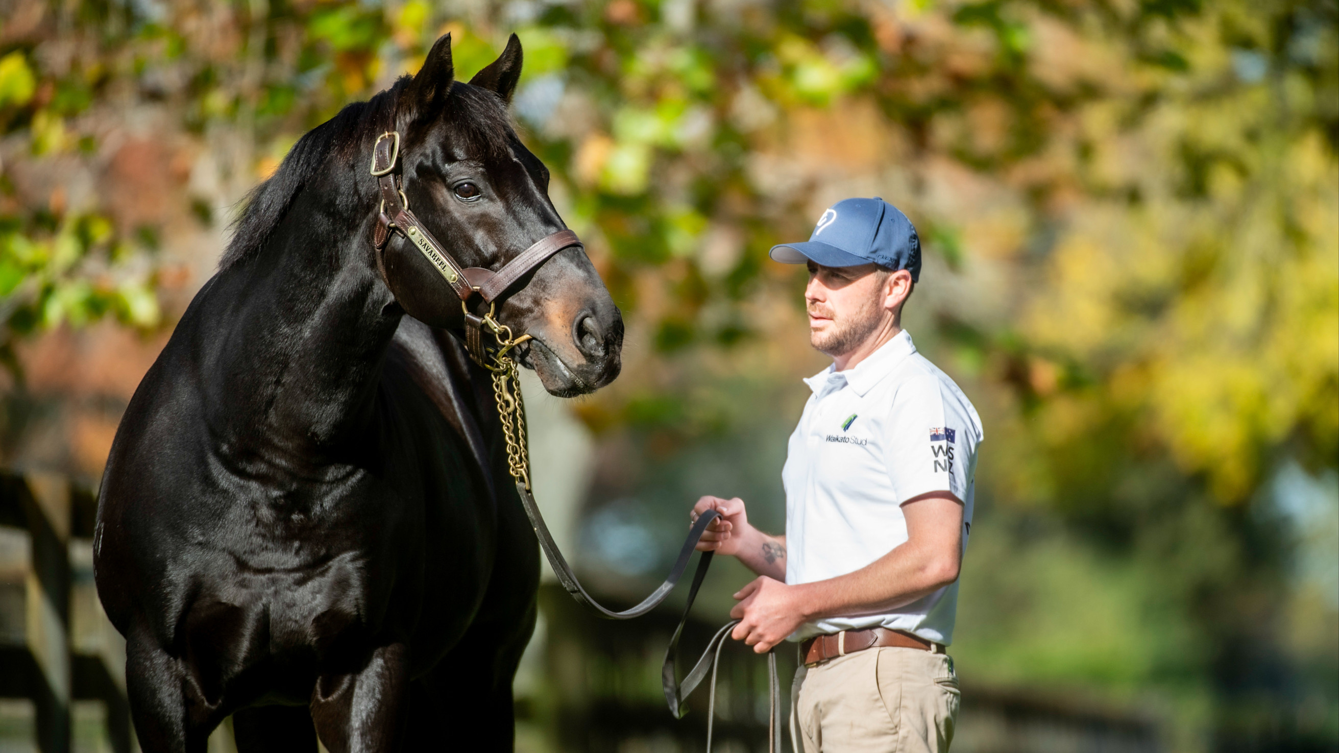 Savabeel strikes a chord for all the right reasons