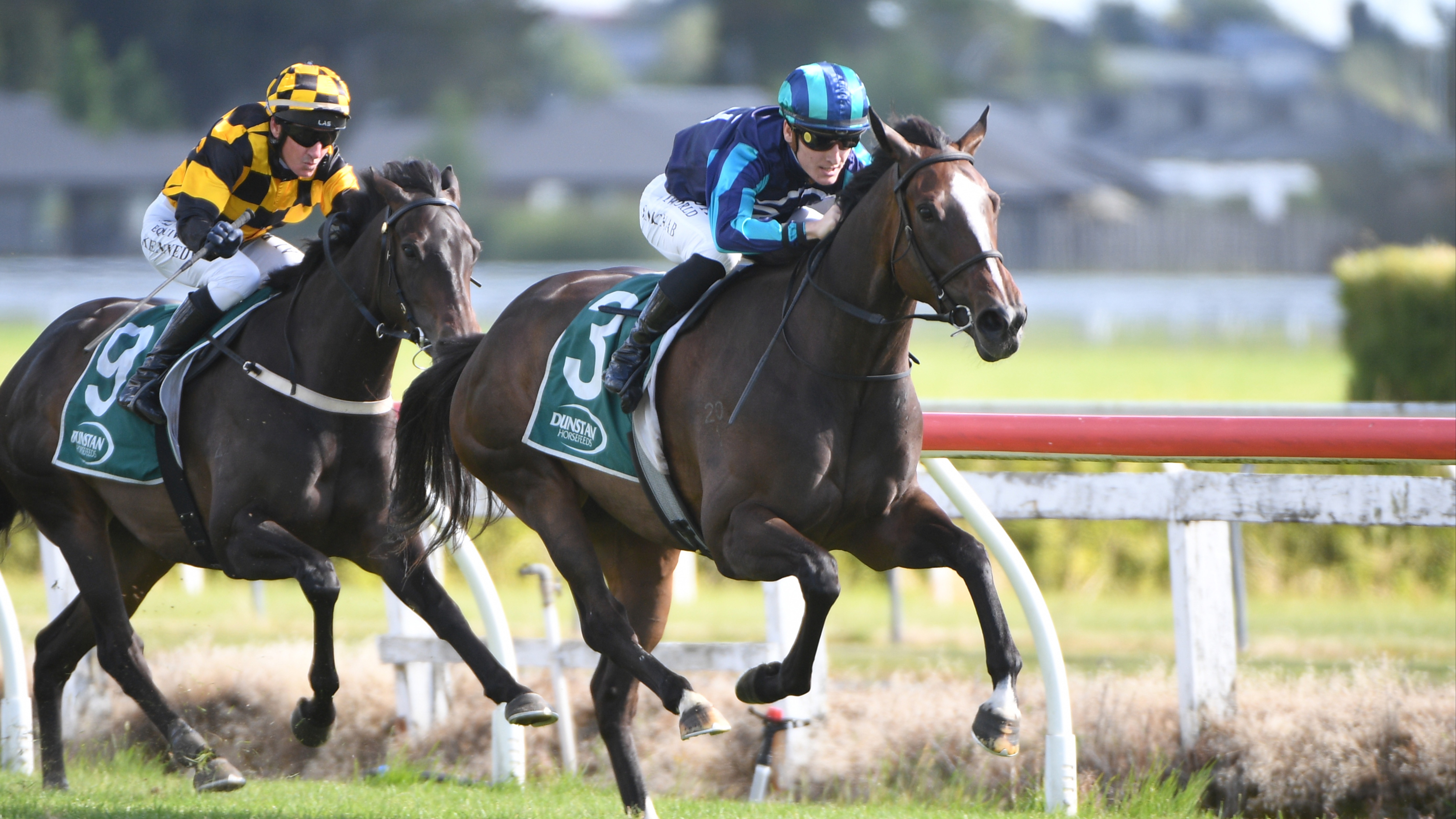 Ace High mare on target for lucrative prizes