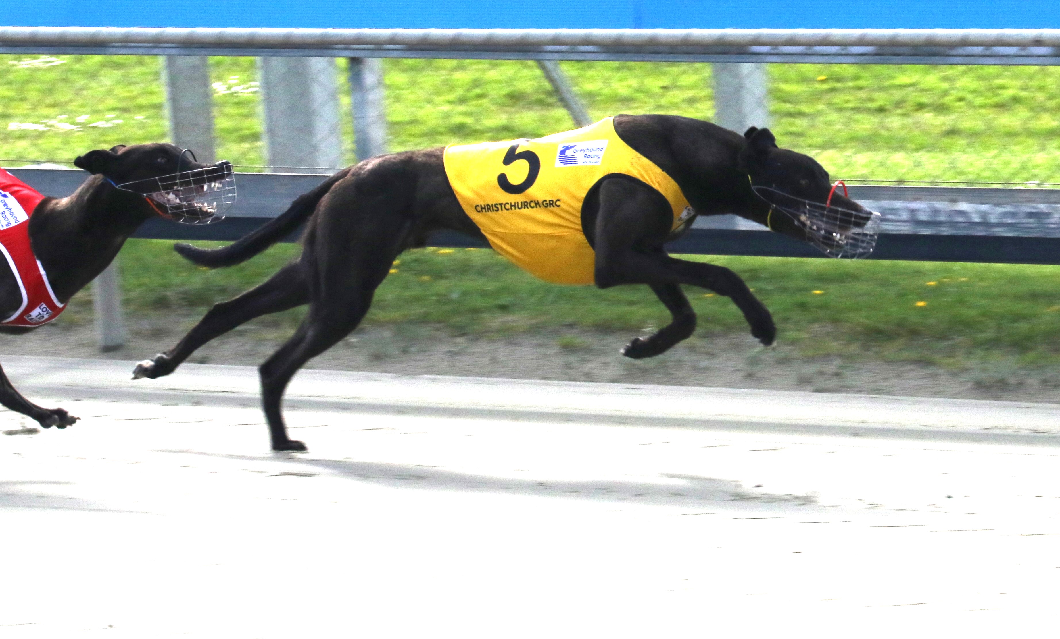 Fast-paced heats loom in the deep south