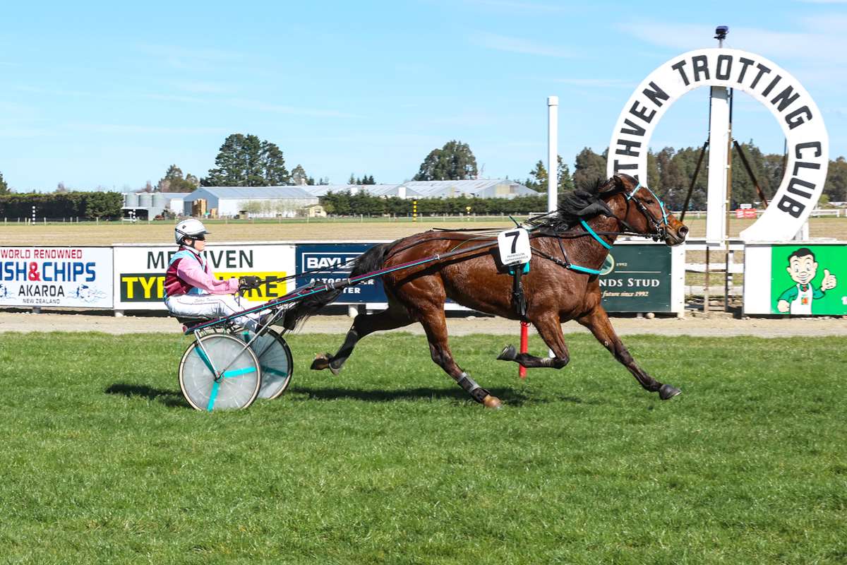 Hat-trick for Sheree Aides in 100th Driving Winner on Trotters