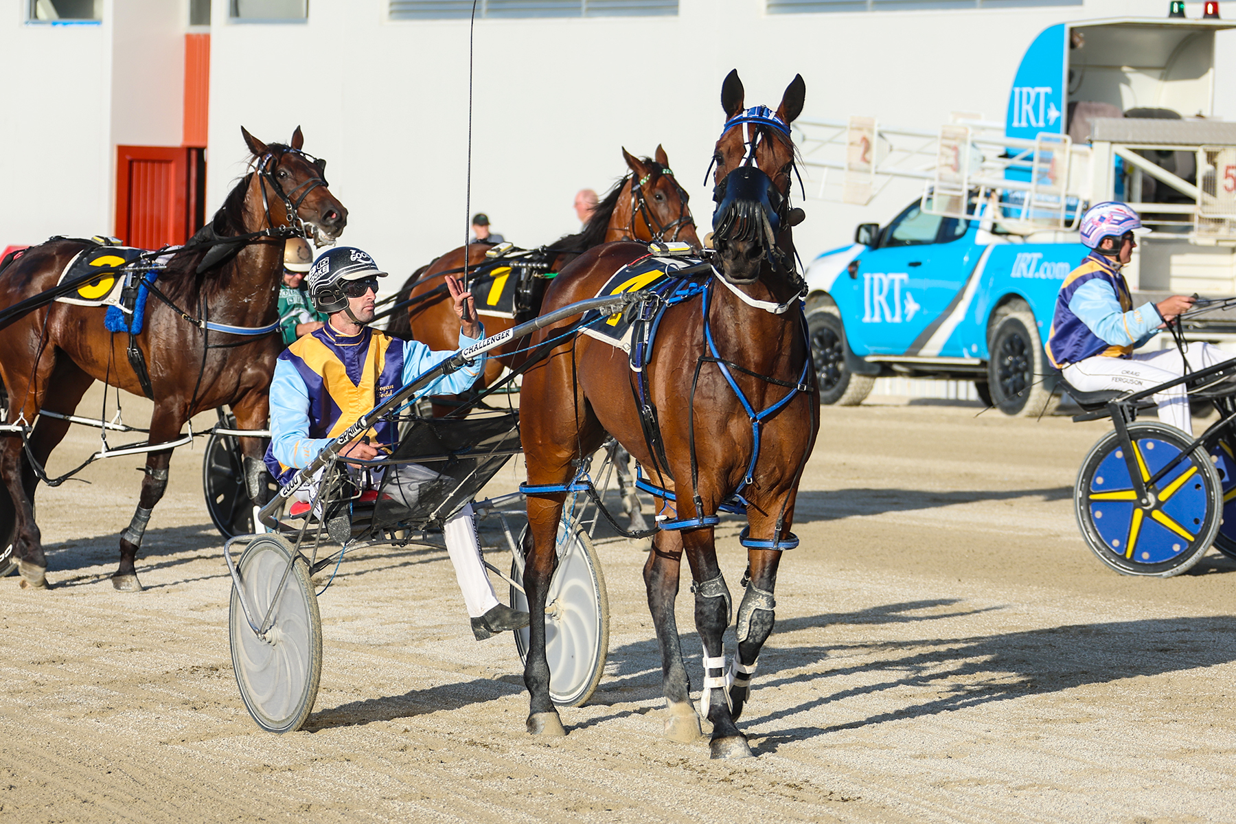 Todd’s duo of mares getting set for new spring features
