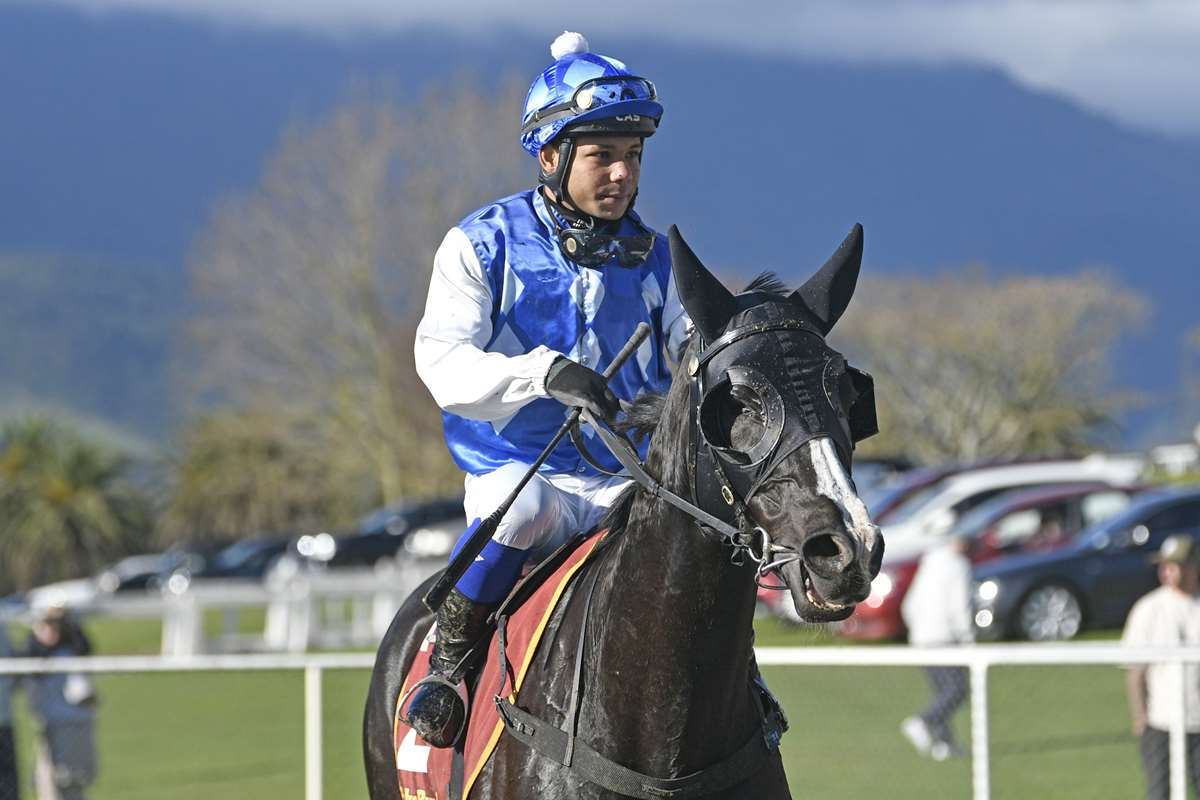 Seesa makes perfect start to riding career