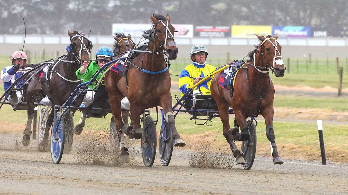 Mountfall Races Wonderful trotter trying to climb Mountain for fourth time