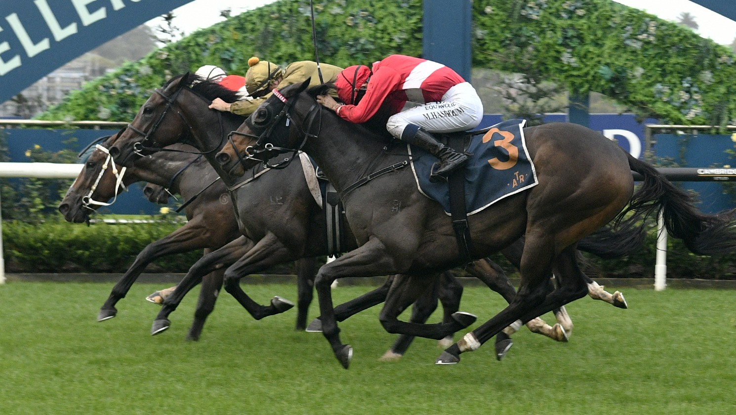 Marsh reaches milestone in Championship Stakes thriller