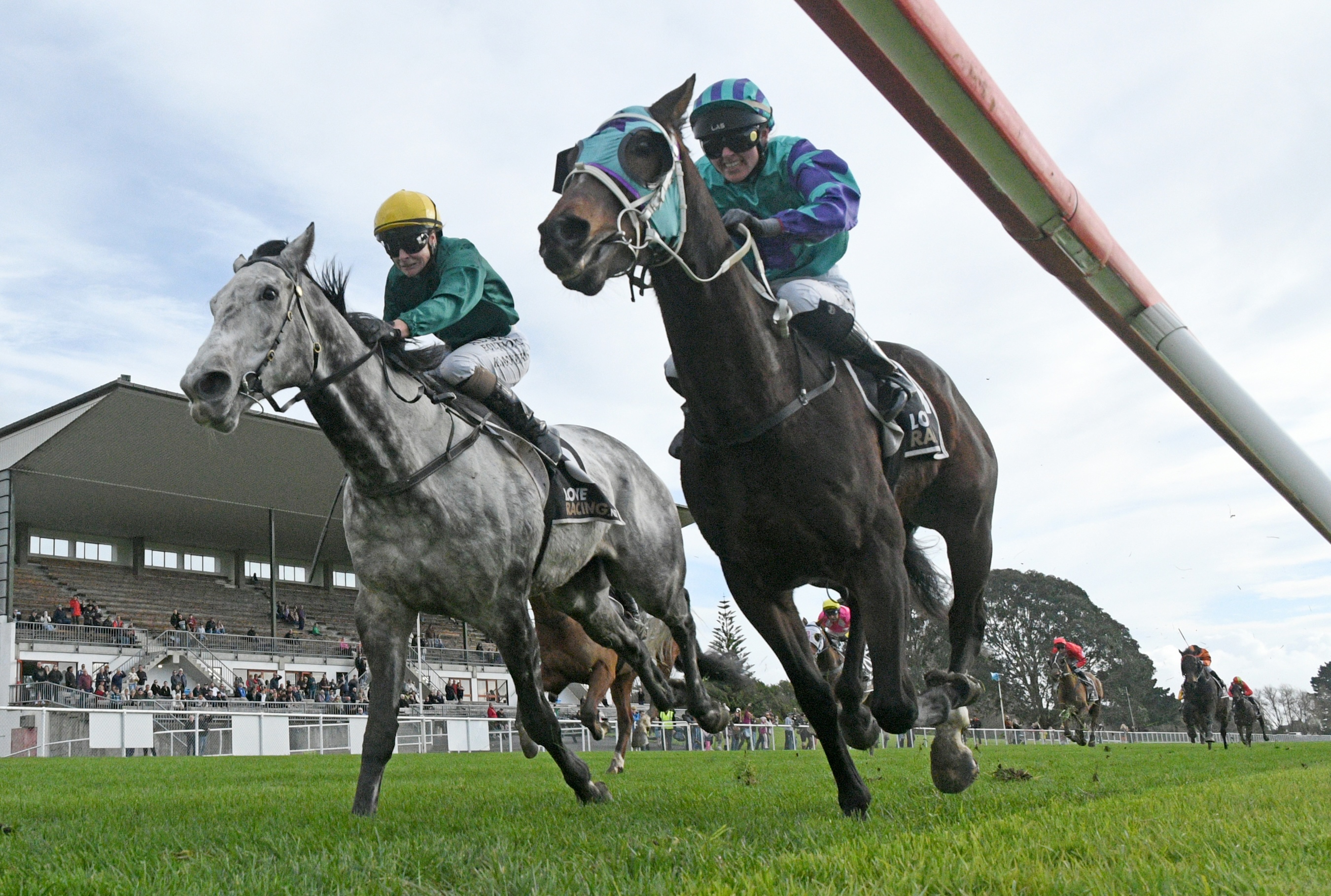 Piper’s Son outfights the favourite in Raukawa Cup