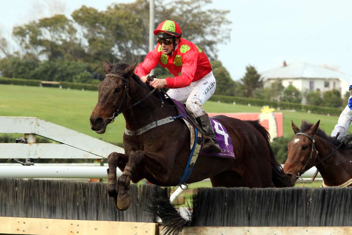 Gillies gearing up for riding return at Wanganui