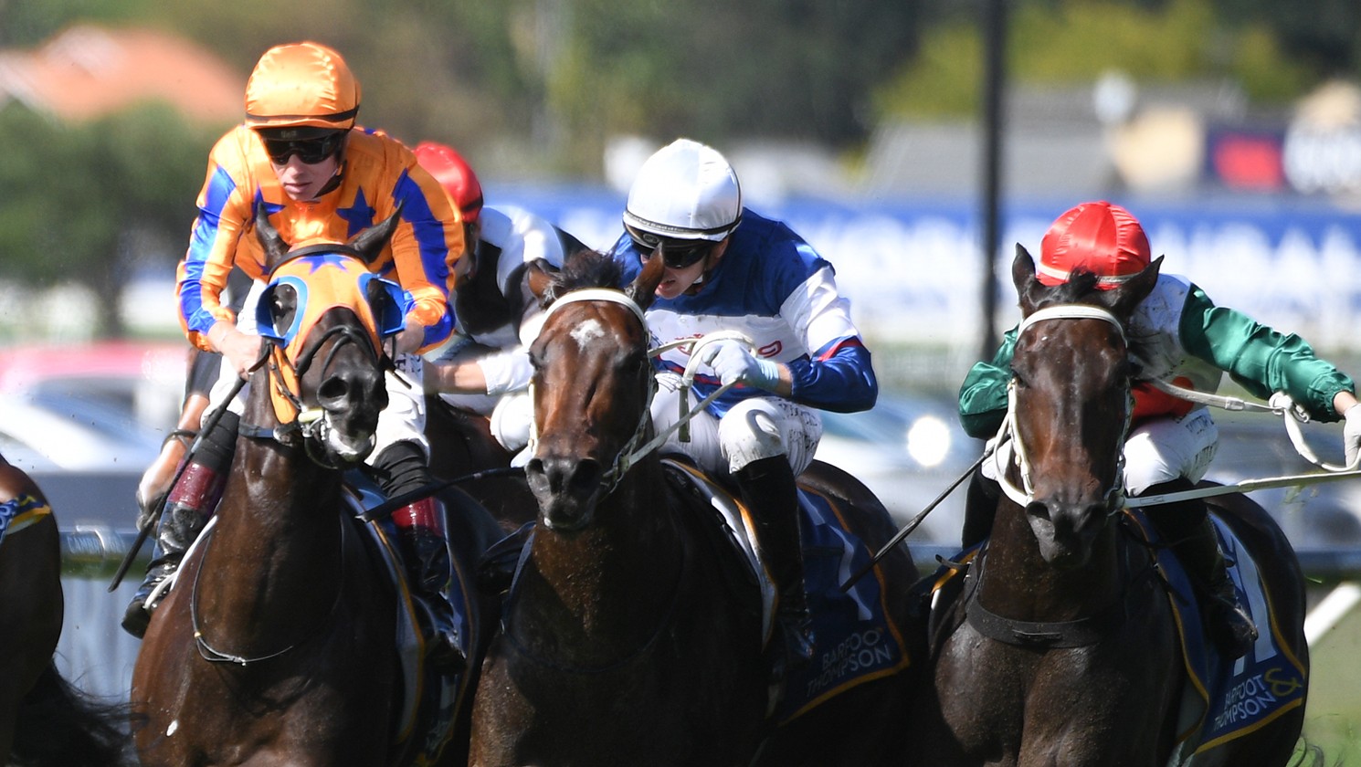 Penman heads Marsh trifecta at Ellerslie