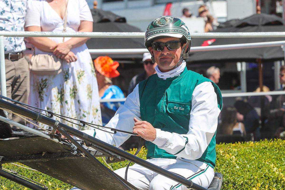 Well-bred debutant may arrive to some fanfare on Thursday night