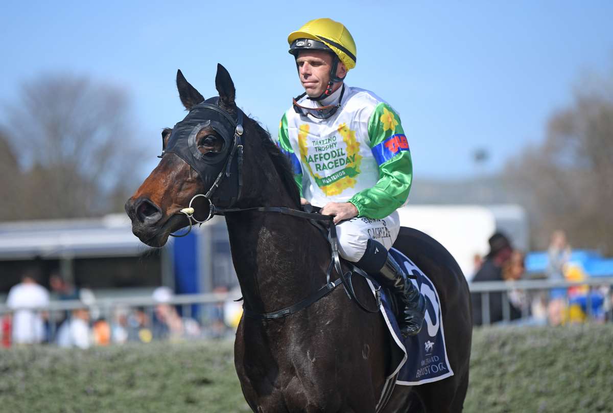 Proisir Plate signals a huge spring ahead