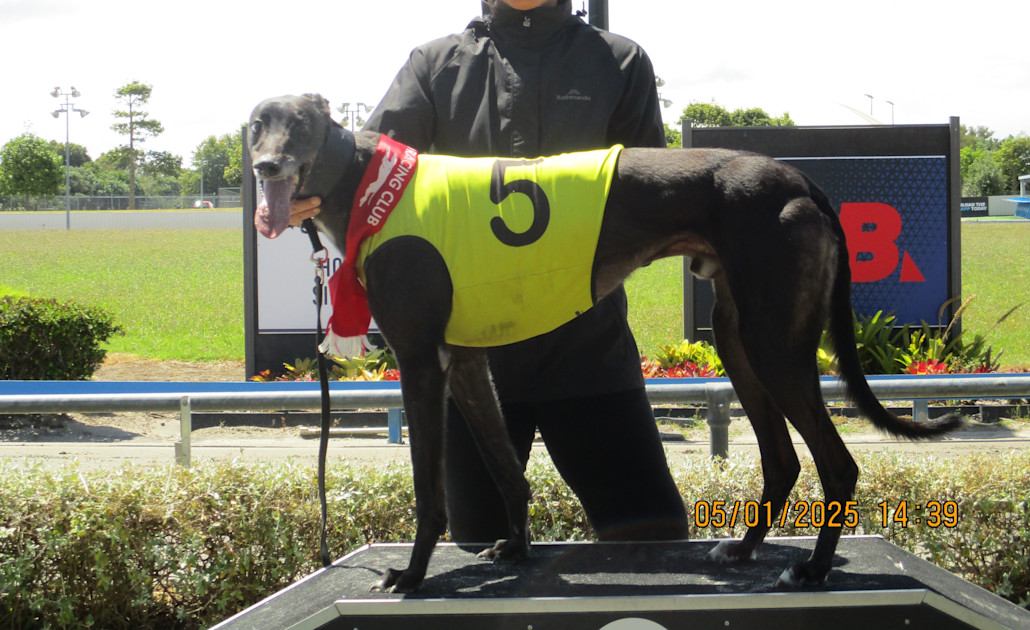 Red hot chasing action set for Manukau