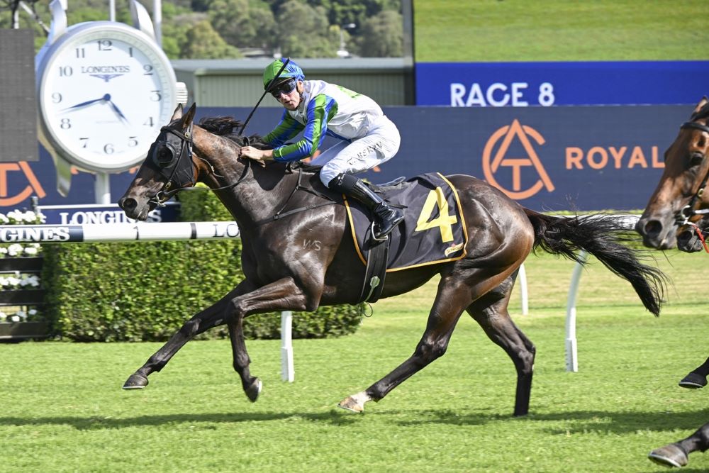 Waihaha Falls looking to bounce back at Te Rapa