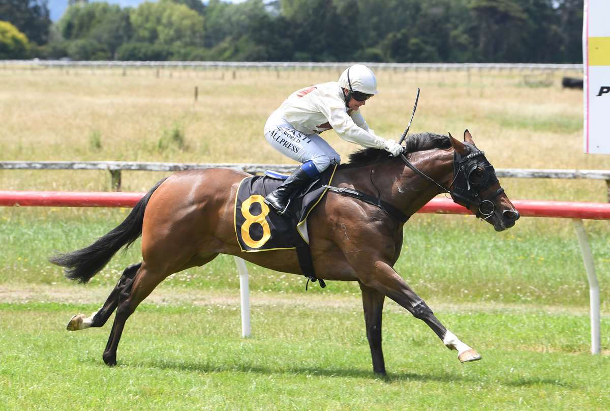 Star jockey Lisa Allpress injured in freak pre-race incident