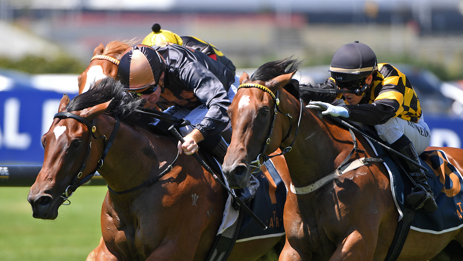 Liguria takes out Ellerslie juvenile feature