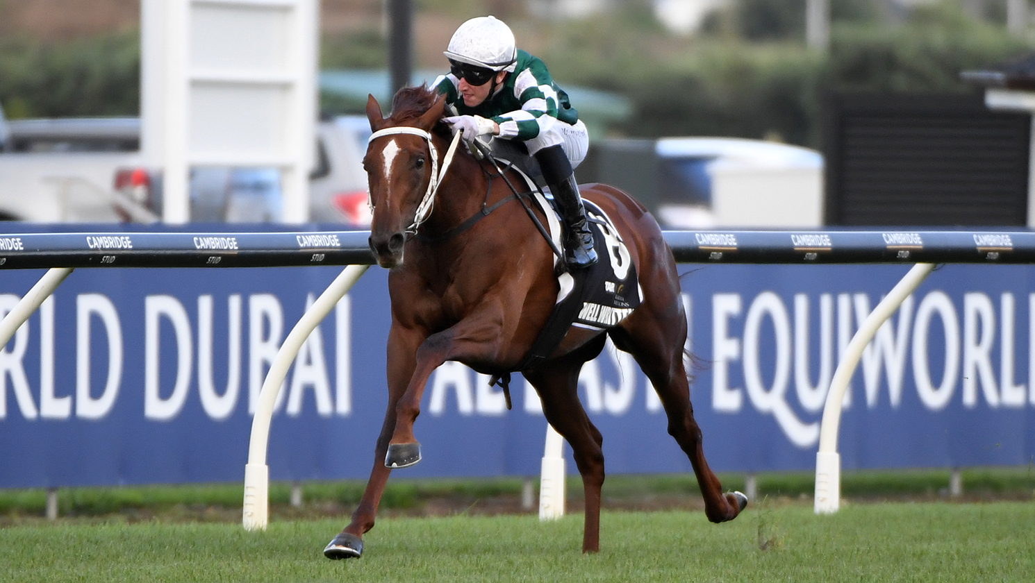 Leading lady produces the perfect NZB Kiwi dress rehearsal