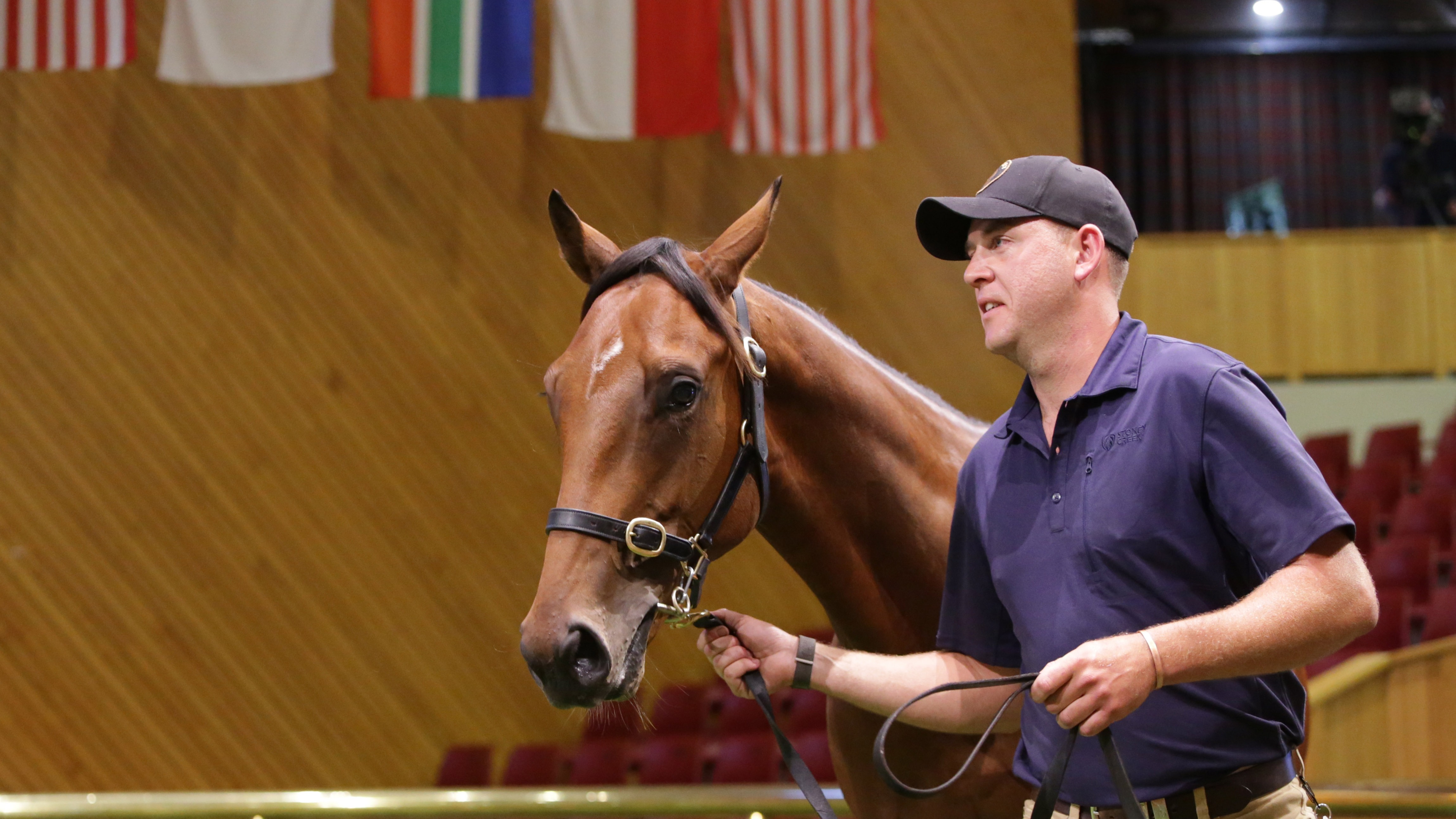 Foote purchases Summer Sale topper