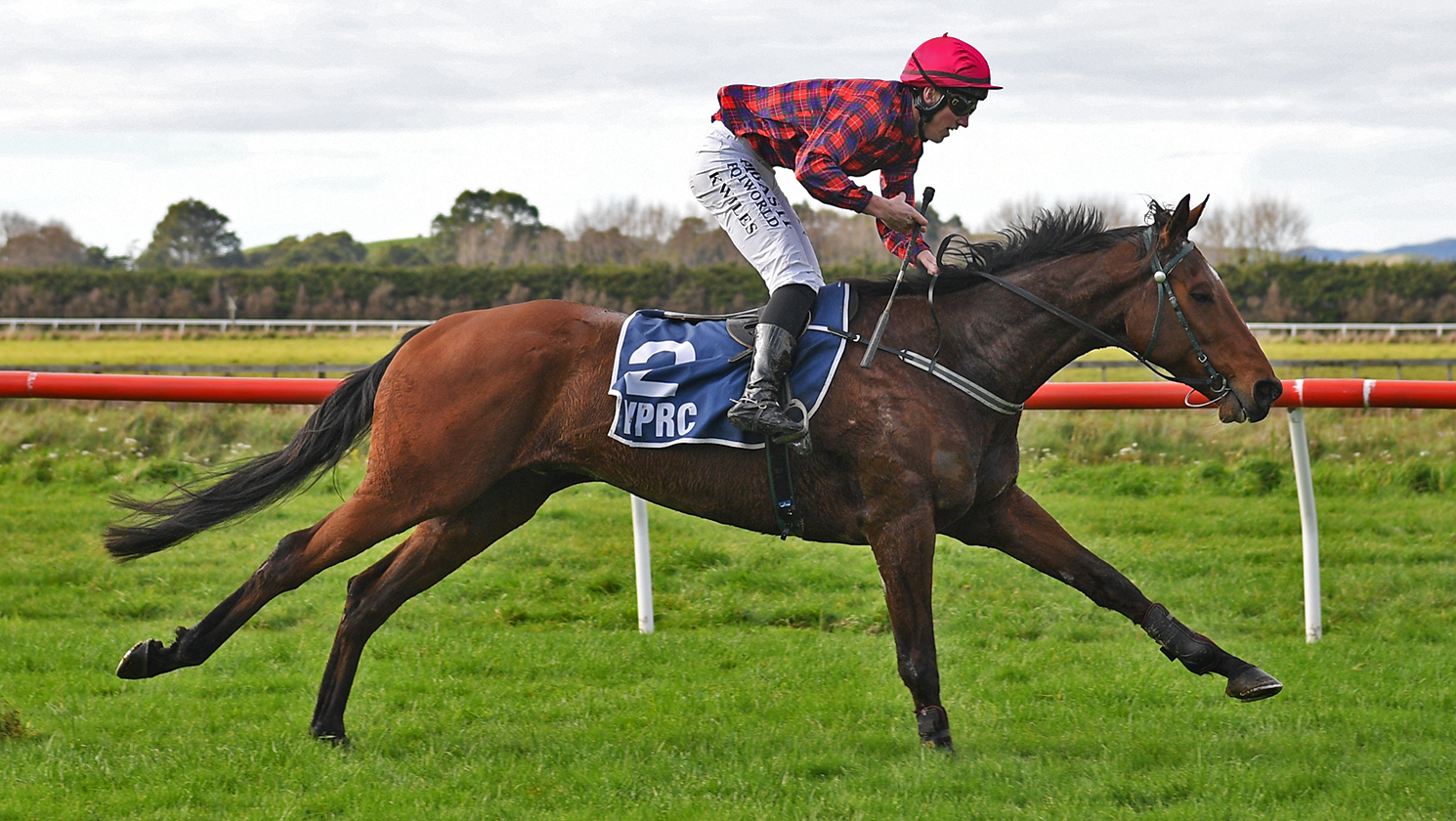Quid cashes in at Woodville