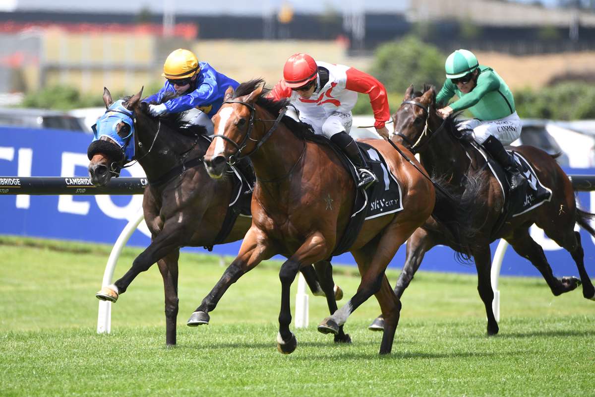 Affirmative Action to race Well Written at Ellerslie for 3-year-old bragging rights