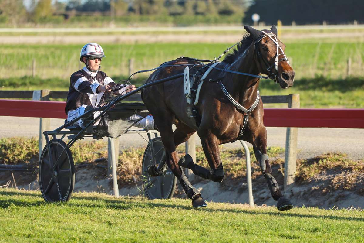 The clocks spring forward and so do the horses: Marc Cookson