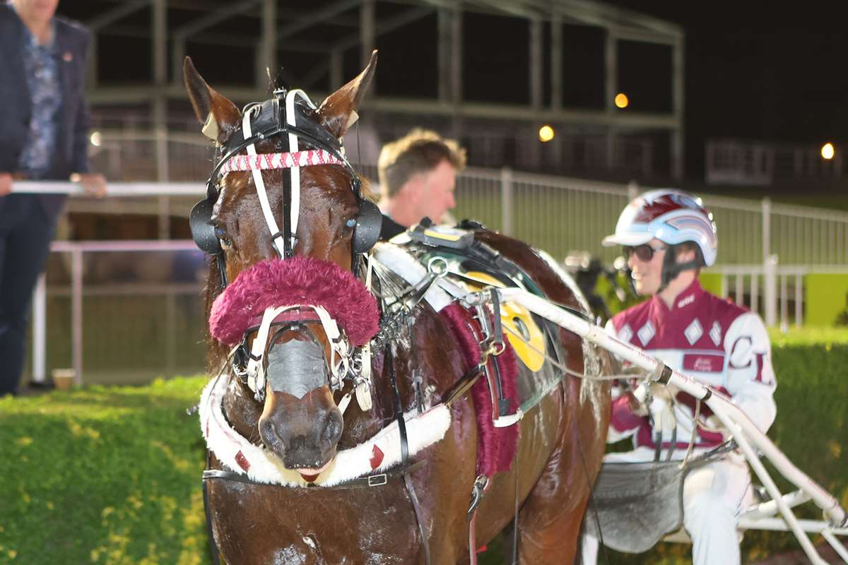 Flying Stakes highlights huge Labour day Monday at Ashburton