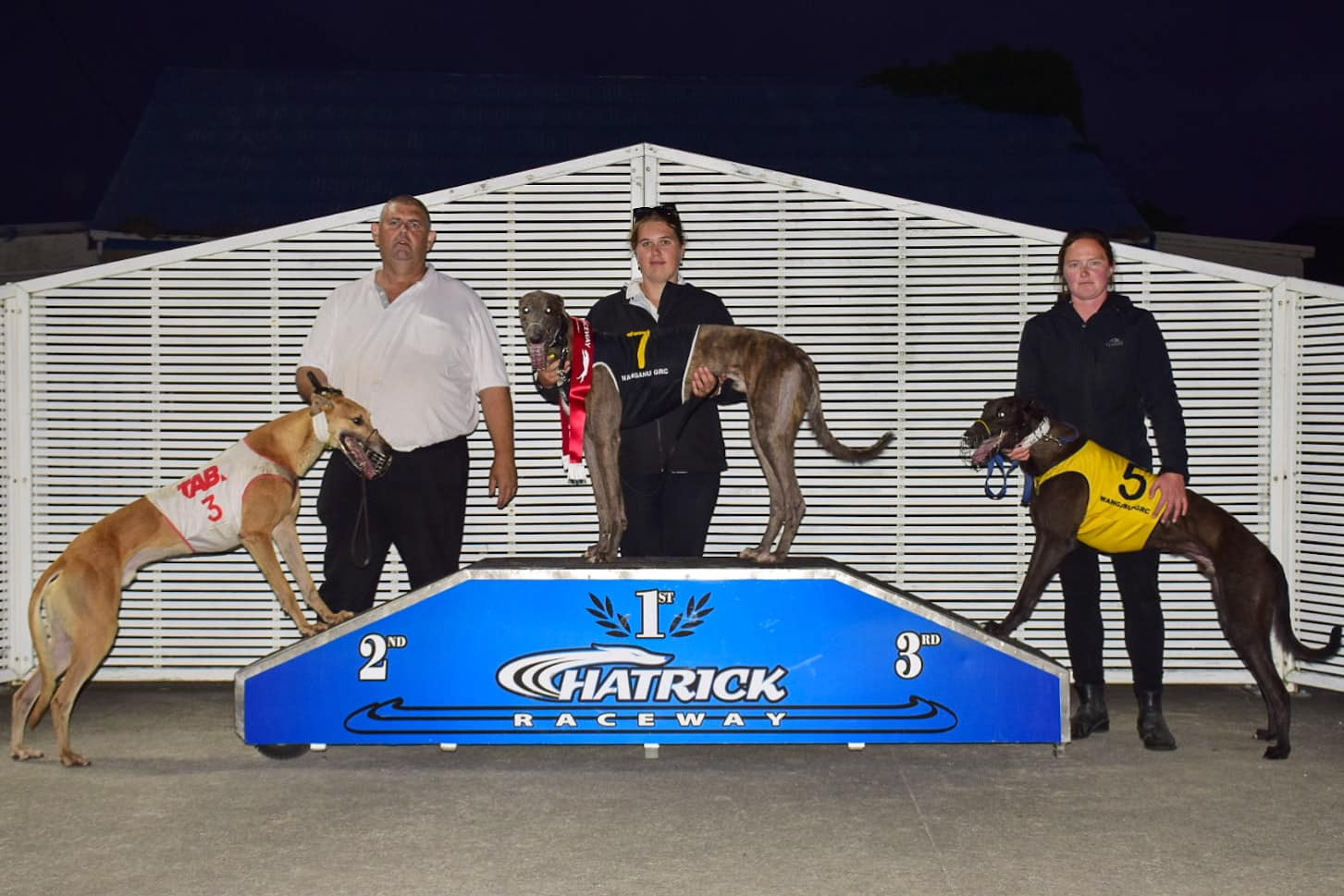 Press Play for Palmy's Puppy Paws: Roso's Picks