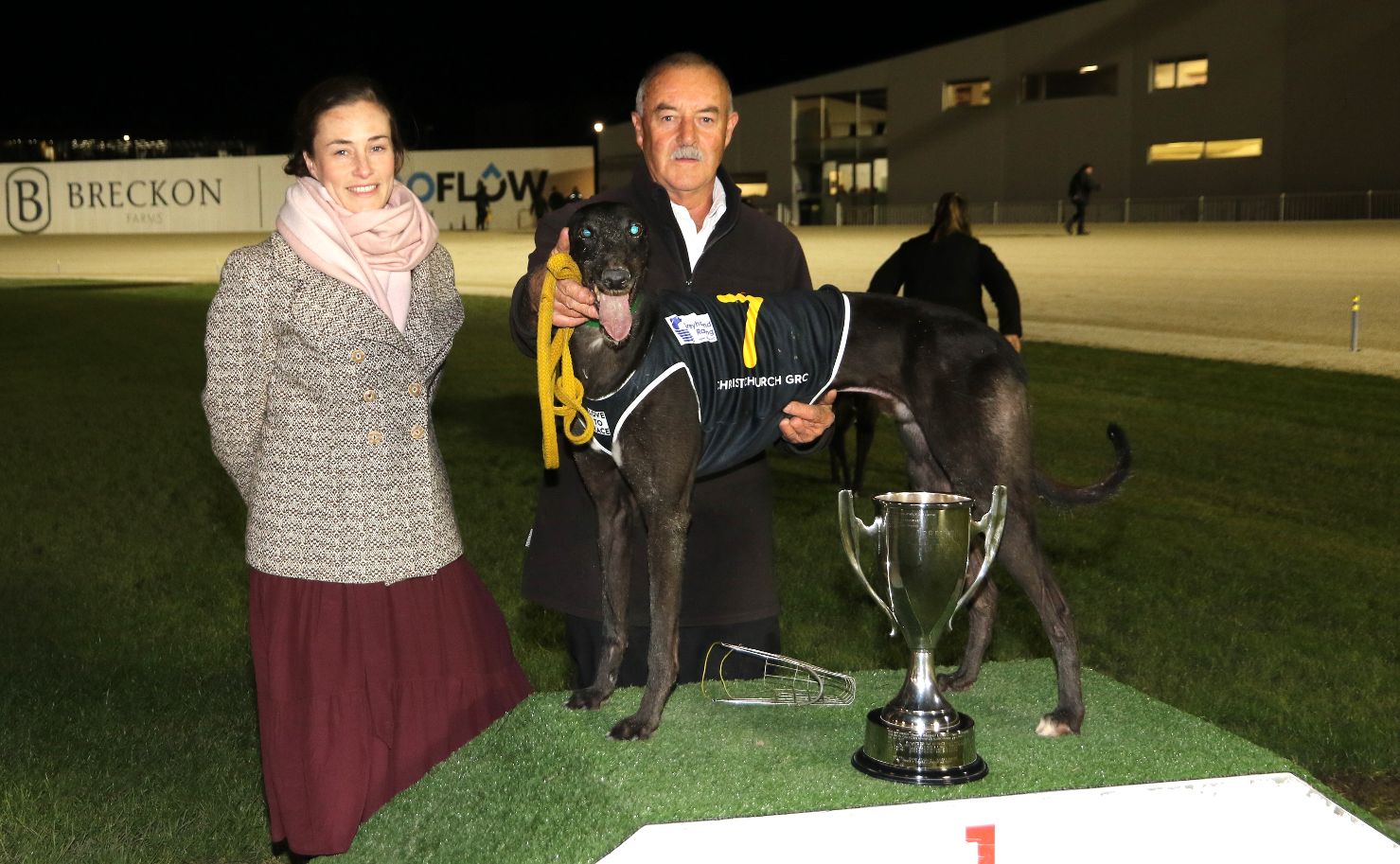 Let Him Cook flies to his Ashburton Cup win