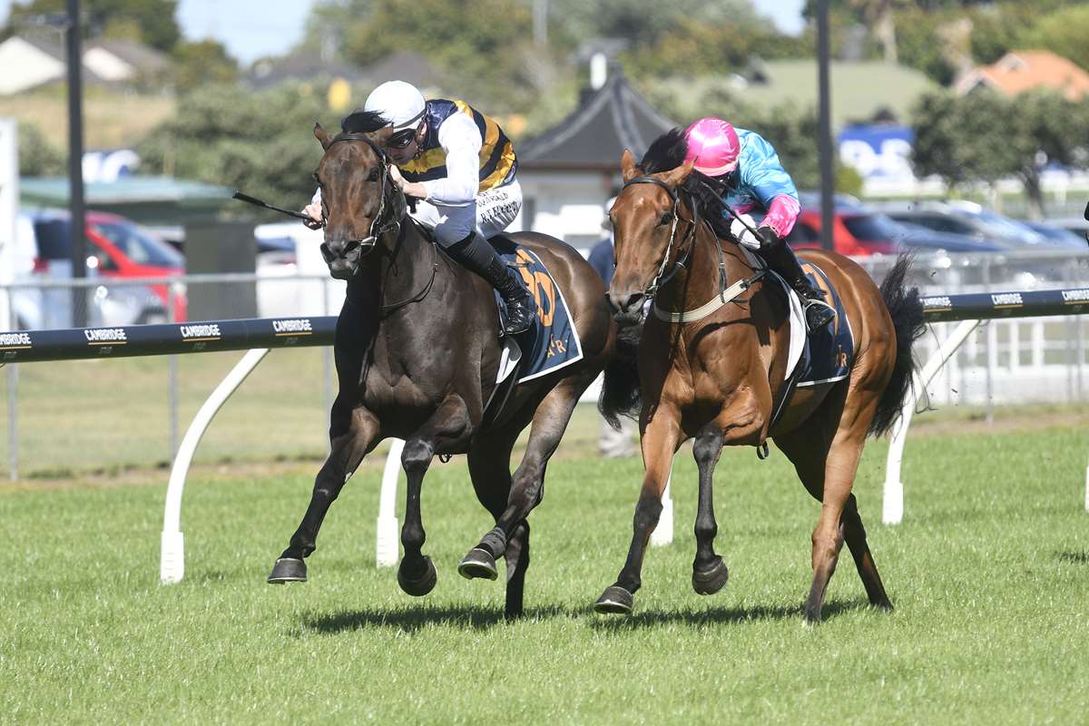 Golden Century on Derby trial in Tulloch Stakes