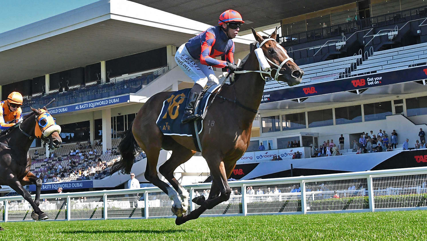Special Sakura causes upset at Ellerslie