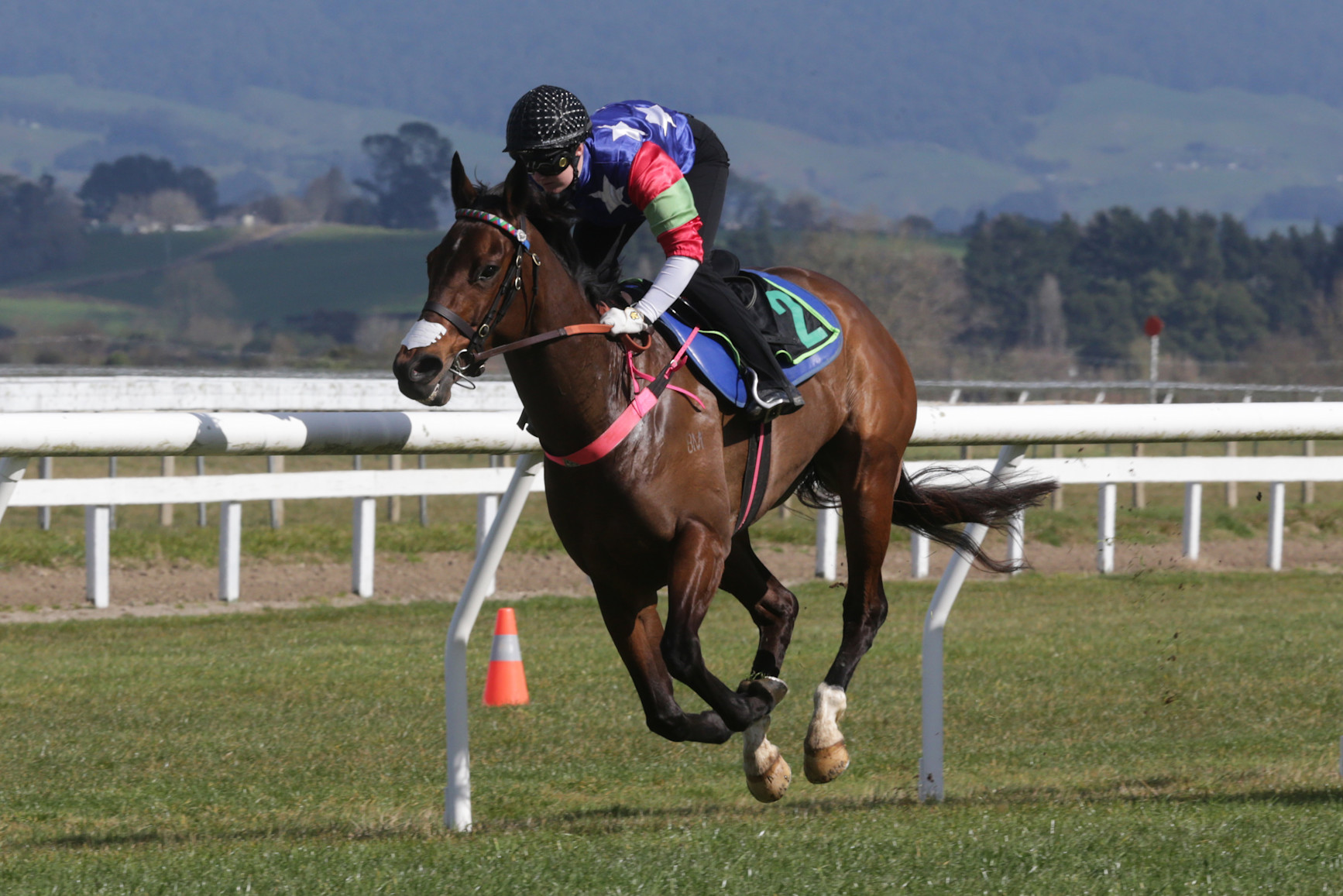 Debit primed for Te Rapa return
