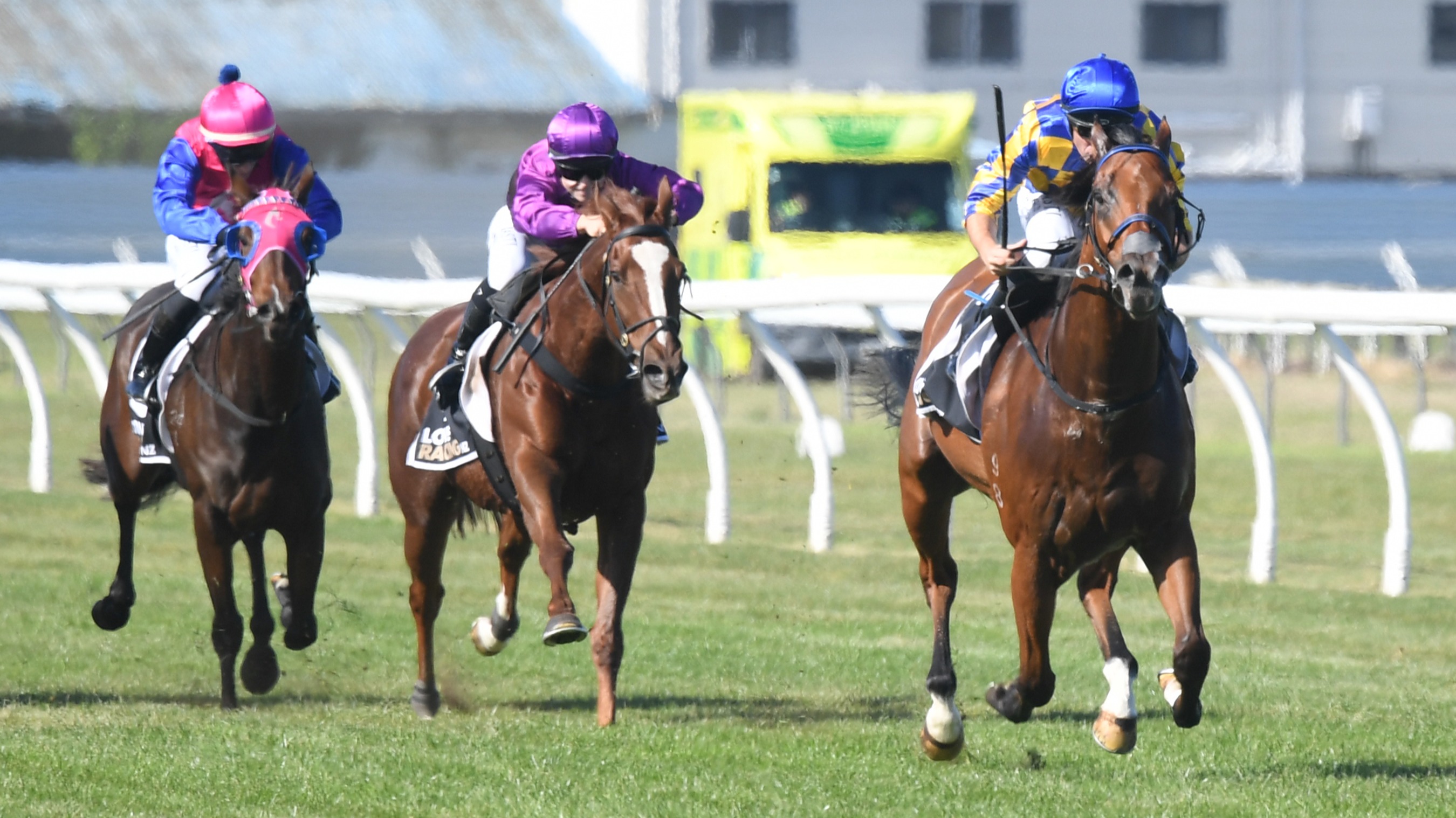 Silent Is Gold makes pleasing return