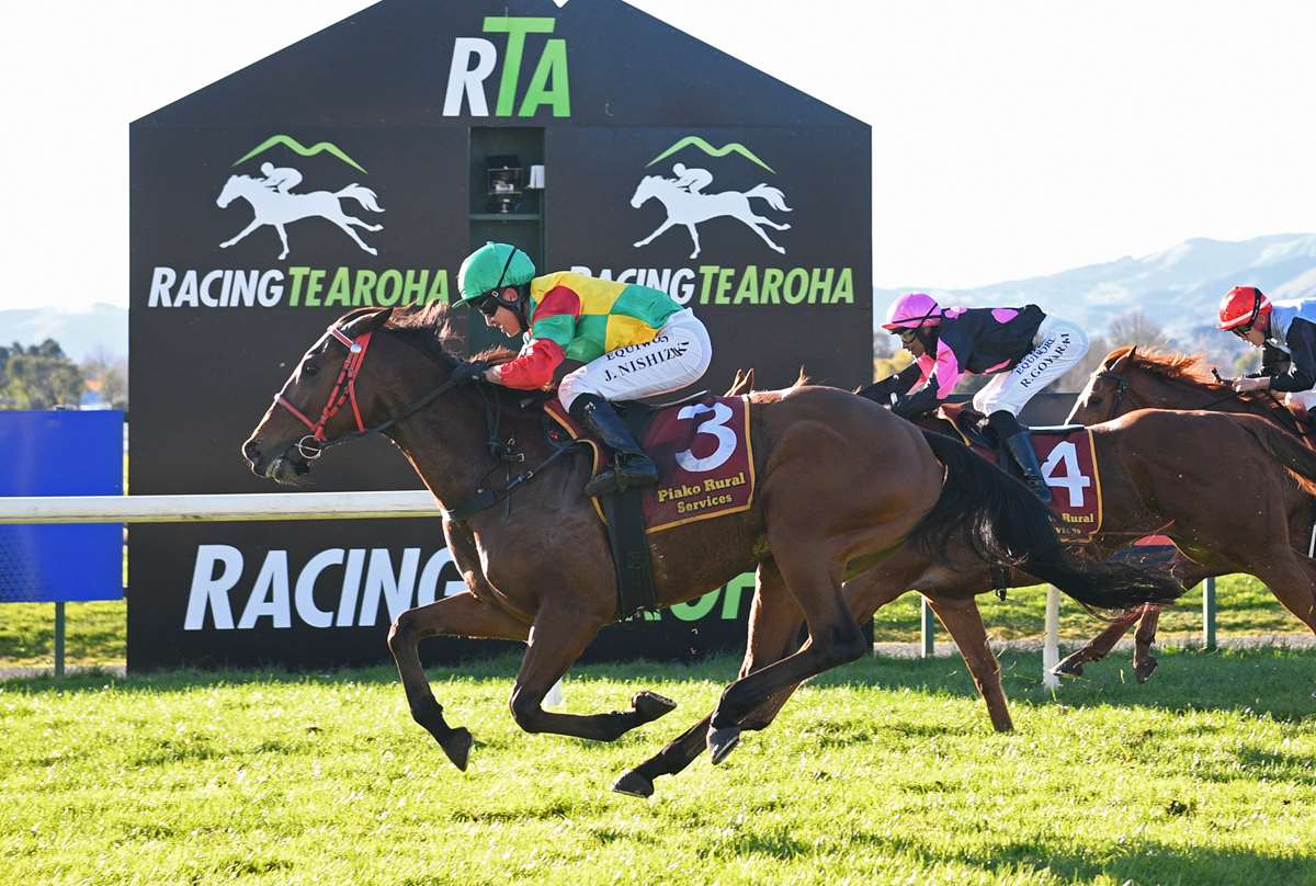Neill’s patience rewarded with maiden win