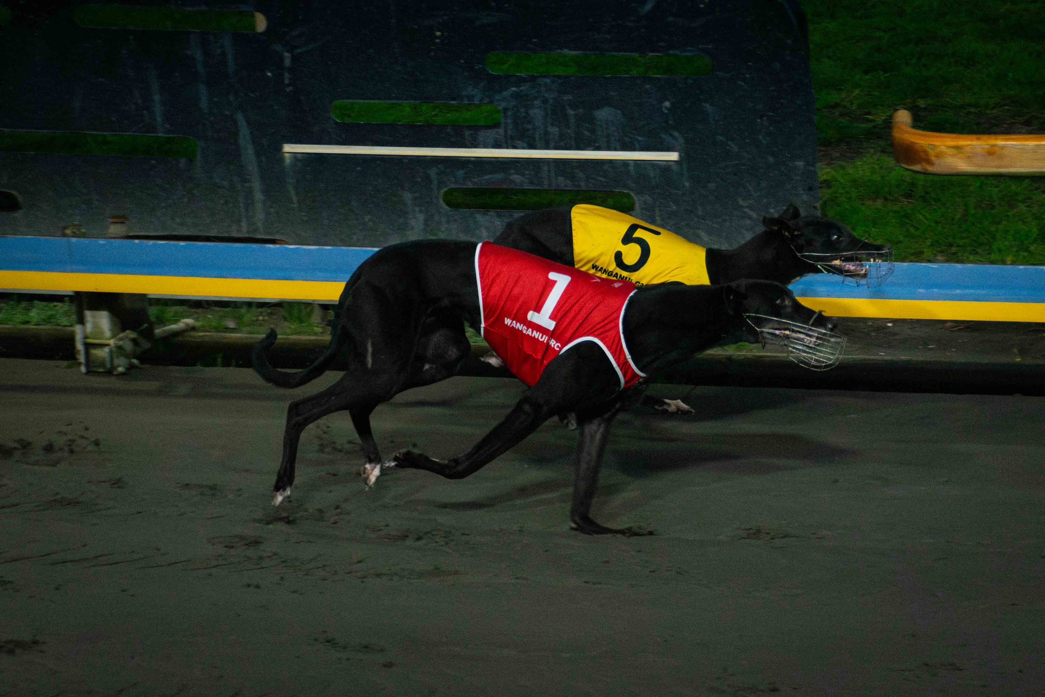Roso picks his Friday Night Flyers under the lights