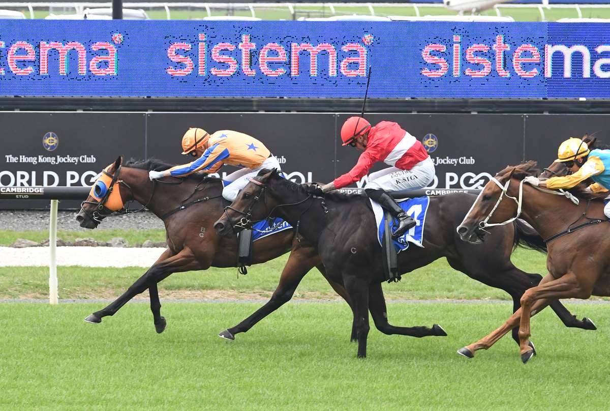 Horse of the Year Contenders: Another powerful two-year-old team for Te Akau