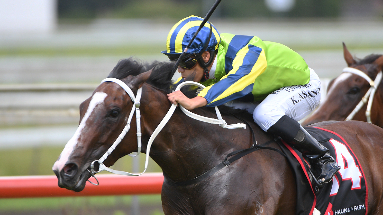 Elsdon stakes double claim at Pukekohe