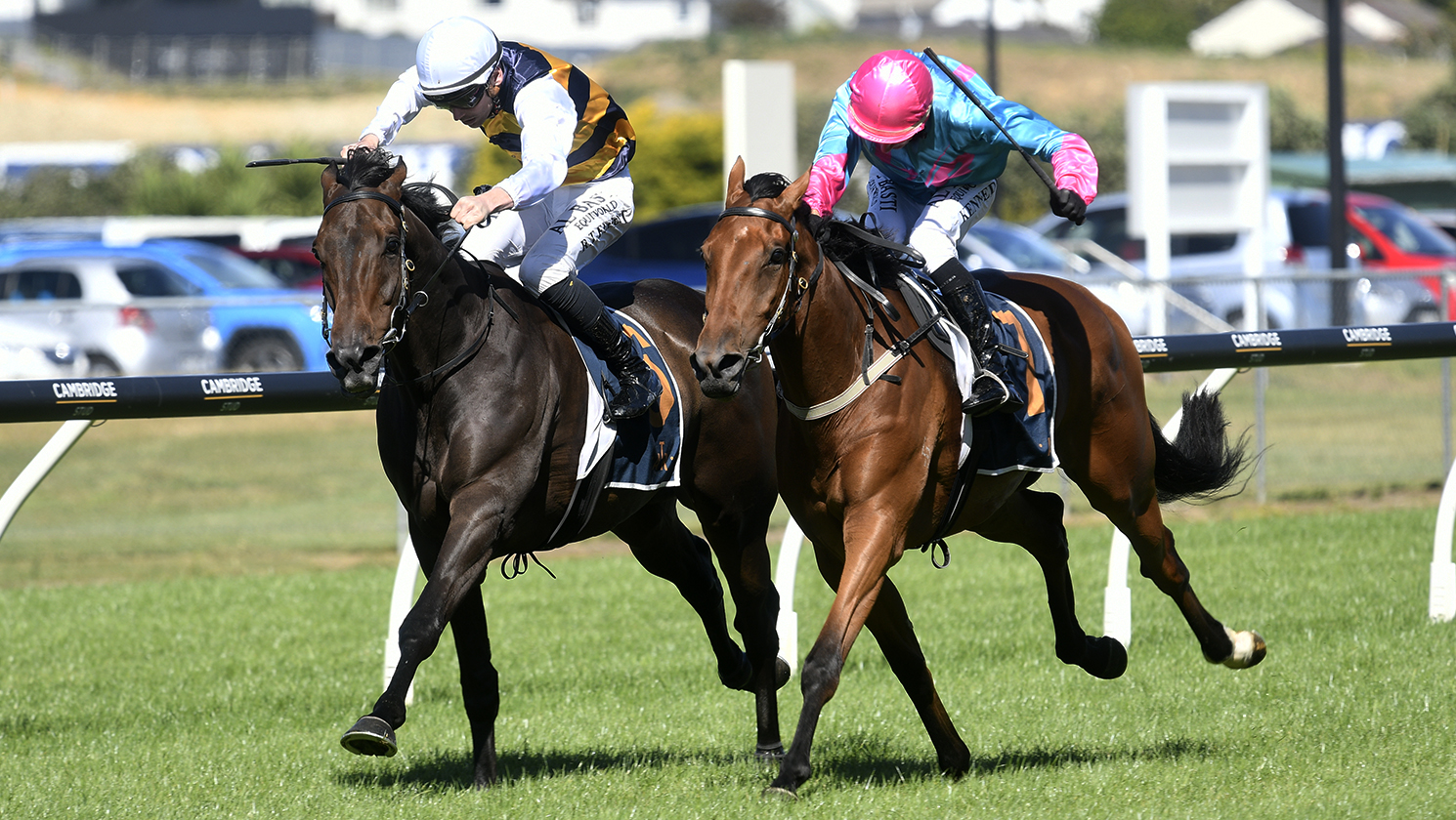 Mustang Morgan a popular winner in Gingernuts Salver
