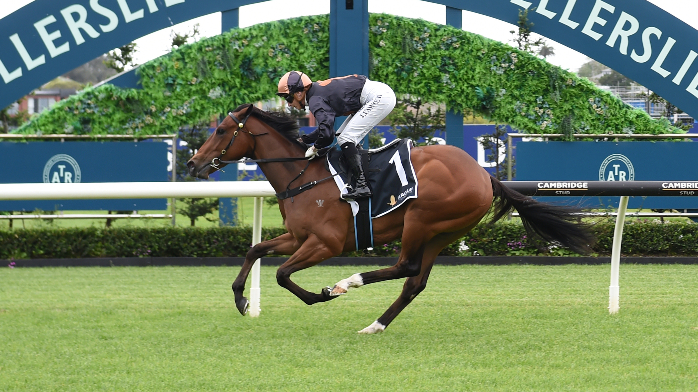 Harvey to head juvenile second wave