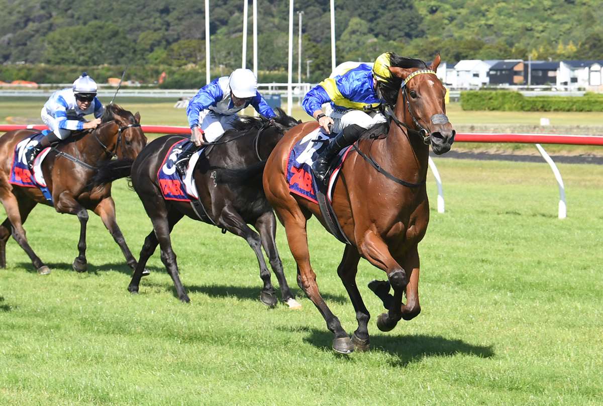 HORSE OF THE YEAR AWARDS CONTENDERS: Mares to the fore again in Sprinter-Miler category