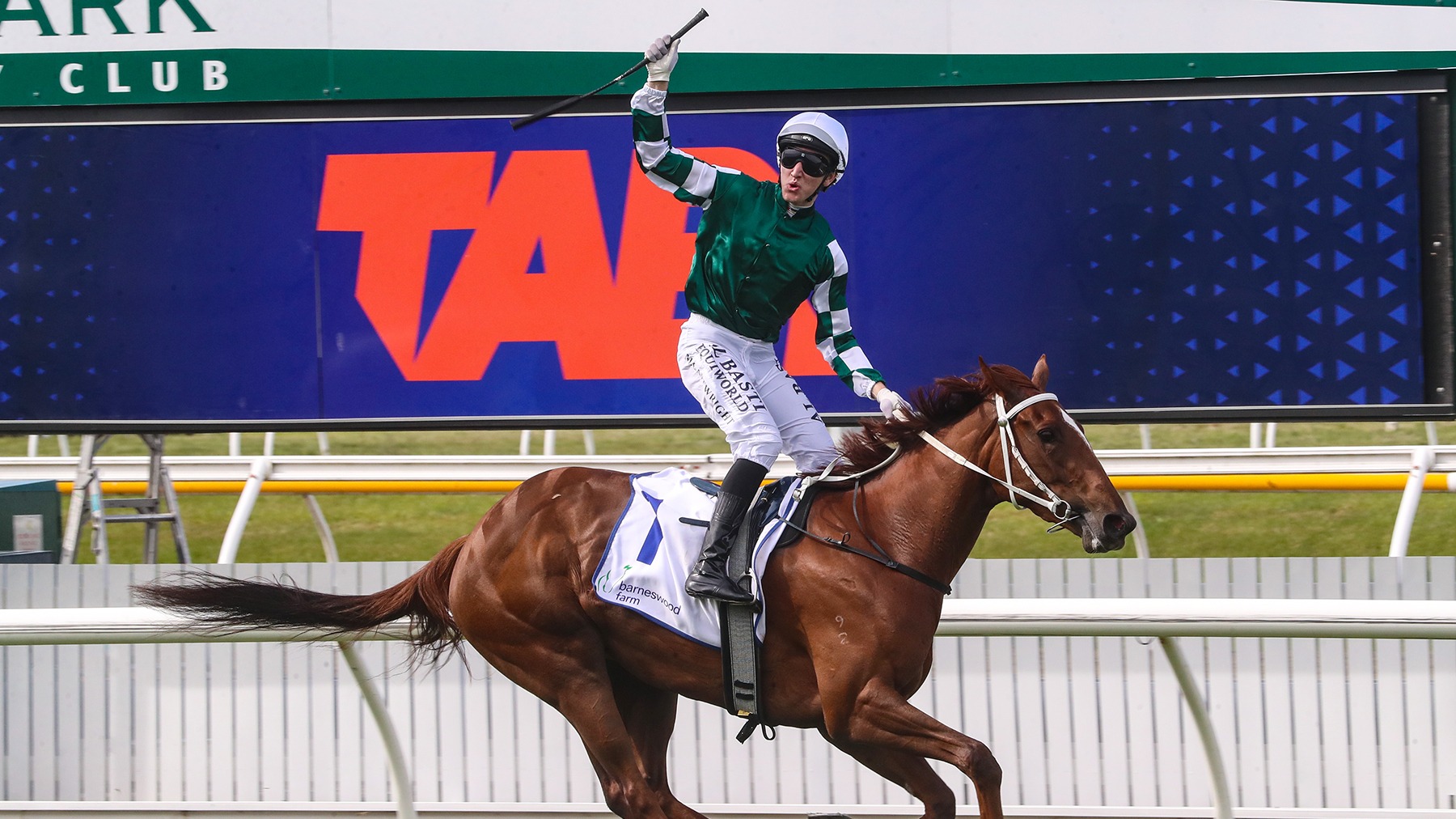 Brilliant filly Well Written claims TAB slot for The NZB Kiwi